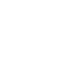 Established Companies SEO icon